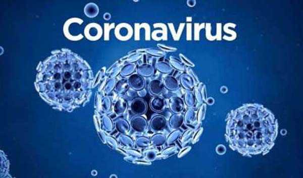 विश्व में कोरोना संक्रमितों की संख्या 2.56 करोड़ के पार, 8.55 लाख की मौत